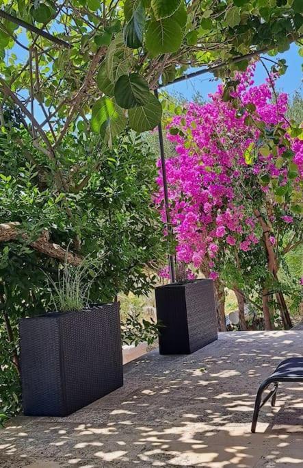 Apartament Kyra With Terrace And Garden